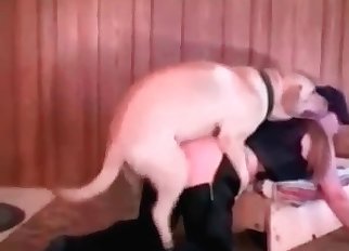 Leather-clad perv and a dog