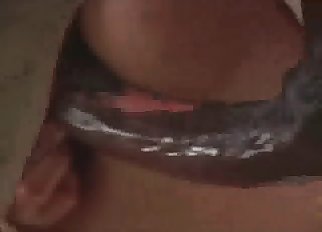 Cute-looking chick still enjoys bestiality