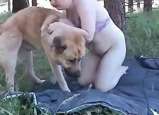 Nice dog is showing a world class action