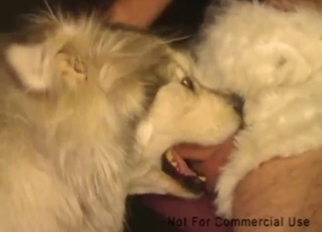 No-shame fuck scene with a well-hung dog fucker