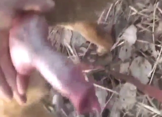 Guy jacks off and looks hot in the process too