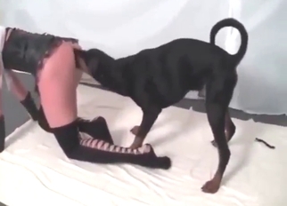 Nice fuck movie with a blondie who wants dick