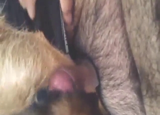 Skinny beast is going to fuck that hairy dude