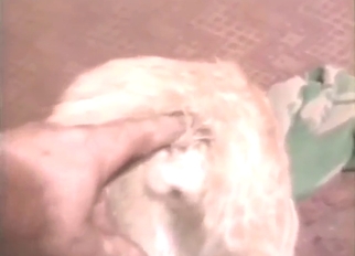 Serial gapist is going to finger that kitty's hole