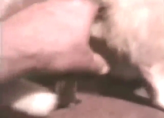 Serial gapist is going to finger that kitty's hole