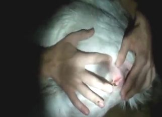 Meeting goat just to fuck it up with passion