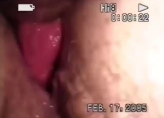 Drinking it in as the dog punishes that wet vag