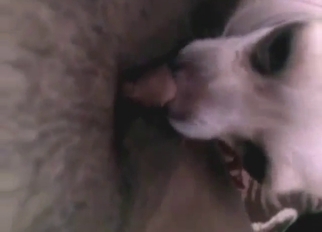 MILF feeds her sexy clit to this kinky animal