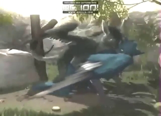 Griffon porn is as awesome as you want it to be