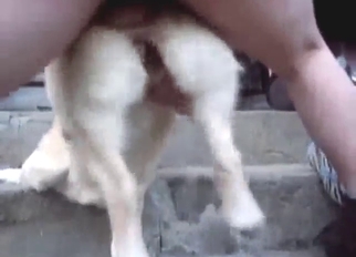 Canine baddie never gets this frisky, too