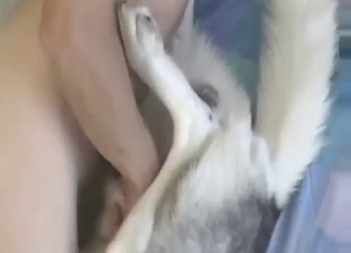 Husky wants this to end as this dude fucks it