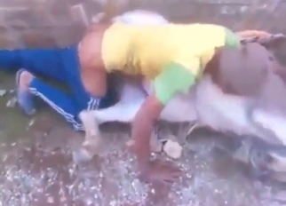 Submissive donkey in zoo porn with a male zoophile