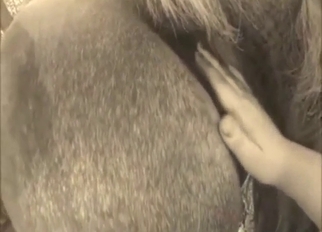 Stallion sex scene with tender fingering up close