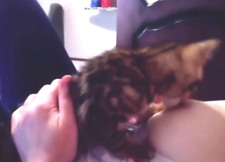 Small kitty sucking on those gorgeous tits