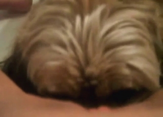 Zoo XXX with a lovely beast licking that hole