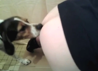 Bestiality porn with a guy taking a dog's boner