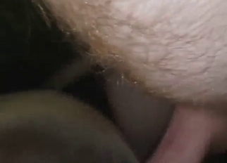 Zoo sex with a dude who pounds a slutty beast