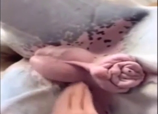Horse porn with lube play, handjobs, etc.