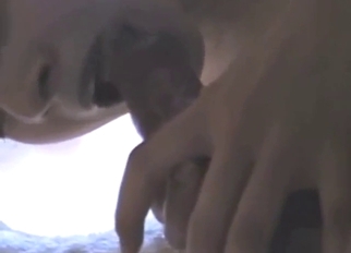 Amateur zoophile getting fucked in the ass