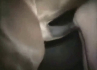Big-dicked stallion invades a guy's asshole