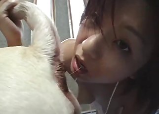 Aesthetic Jav bestiality porn with a hottie
