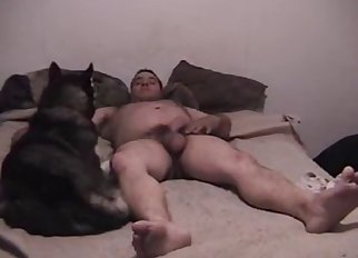 Dog forced to ride the owner's dick