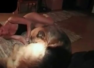 Beautiful dog seduced effortlessly