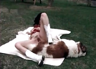 Spotted doggy in passionate bestiality XXX