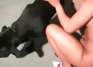 Black Doberman screwing hot babes