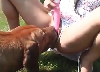 Cute dog licks her snatch with pleasure