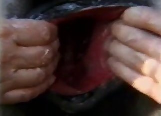 Vertigo-inducing animal pussy shown up close