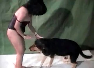 Unstoppable hound is banging a pervert