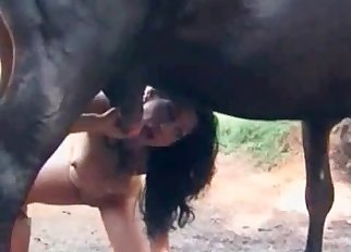 Zoophile is trying to suck a horse cock