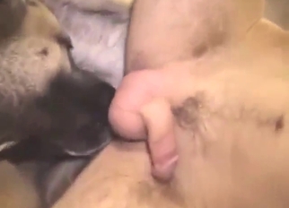 Dude's ass is going to get rammed by a dog